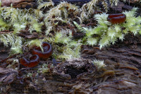 /album/foto-adriano/dc-l4a1683-copia-2-jpg/